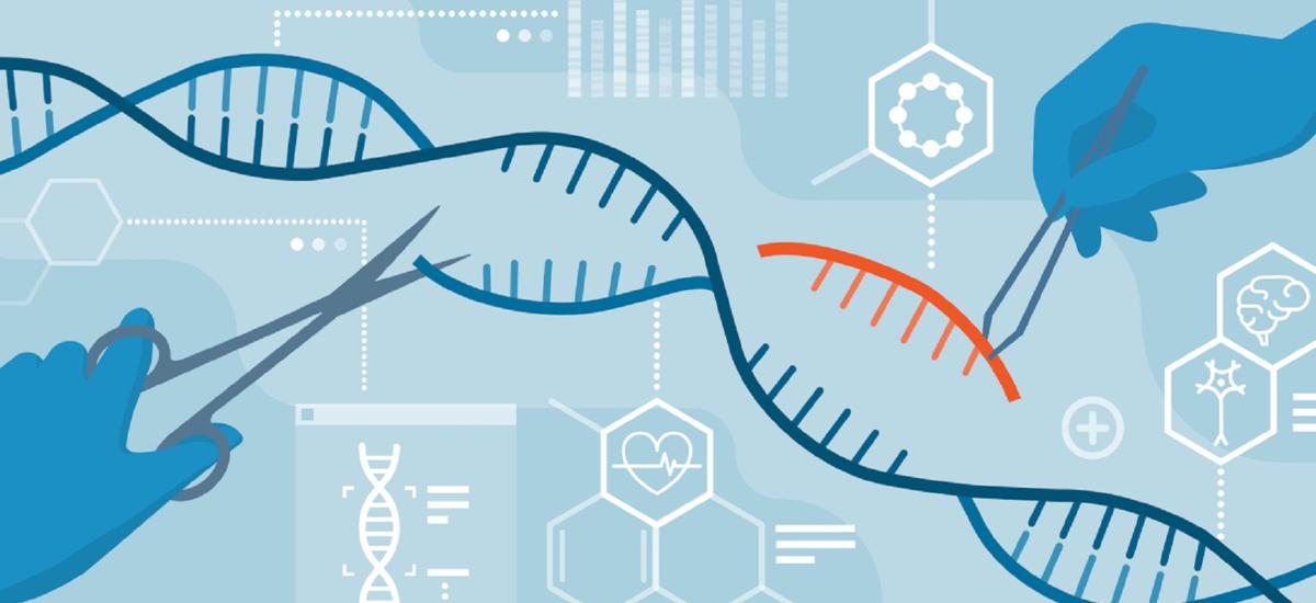 Edycja genów CRISPR-Cas9 jest zbyt niedokładna, żeby stosować na ludzkich zarodkach
