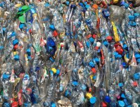 Żeby nie utonąć w śmieciach, musimy zrezygnować z plastiku. Nie ma alternatywy