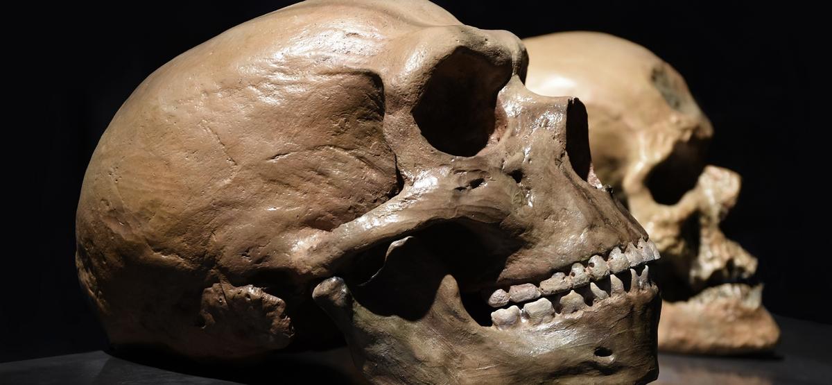 100 000 lat wojny z neandertalczykami. Człowiek tyle czasu potrzebował, aby wyjść z Afryki
