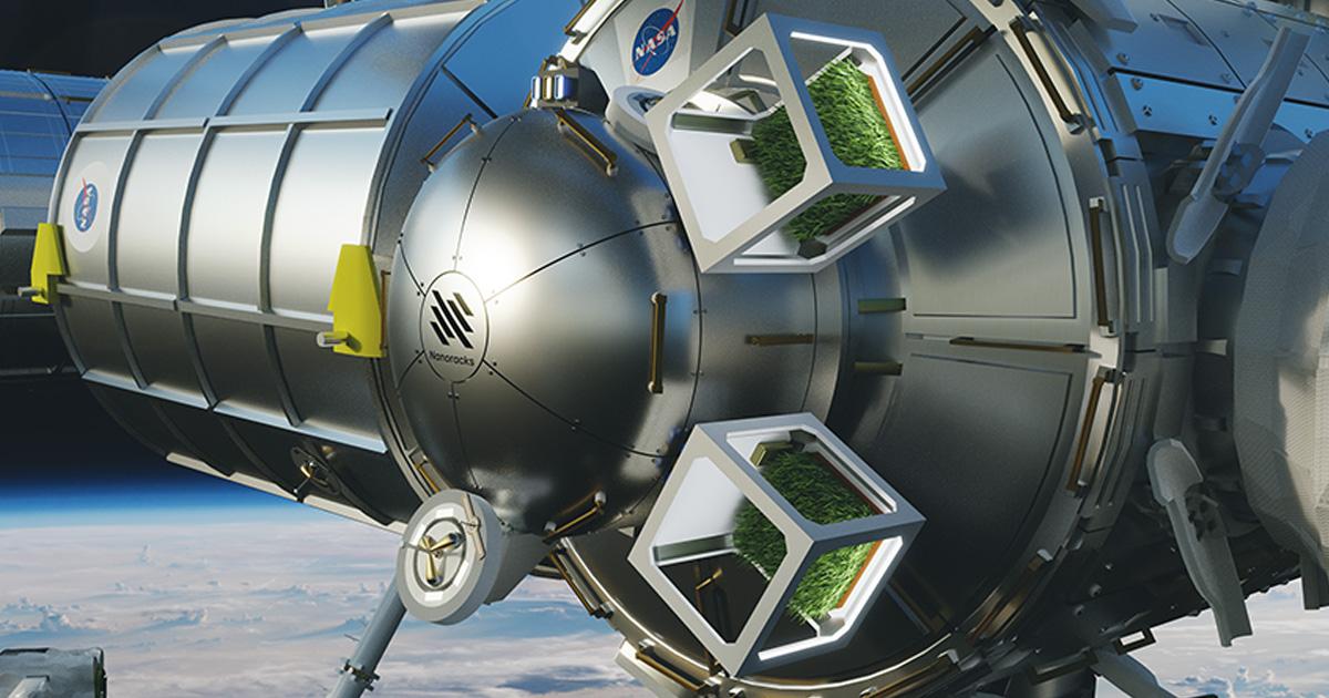 Nanoracks chce hodować kapustę w przestrzeni kosmicznej. Pierwsza kosmiczna szklarnia jeszcze w tym roku