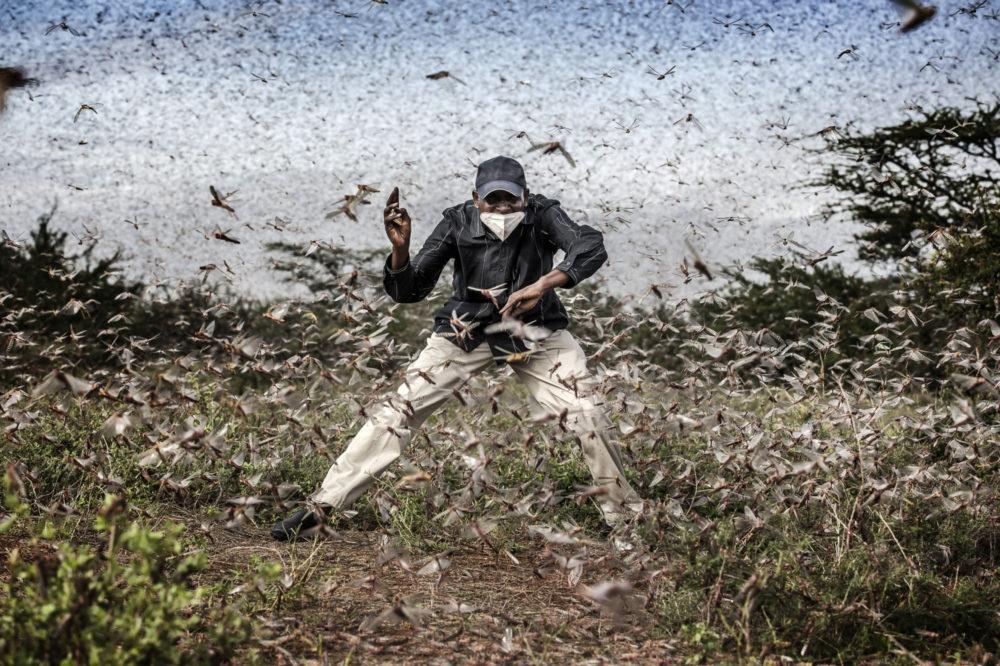 Fot. Luis Tato, Hiszpania, &quot;Fighting Locust Invasion in East Africa&quot; / World Press Photo 2021 class="wp-image-1625522" 