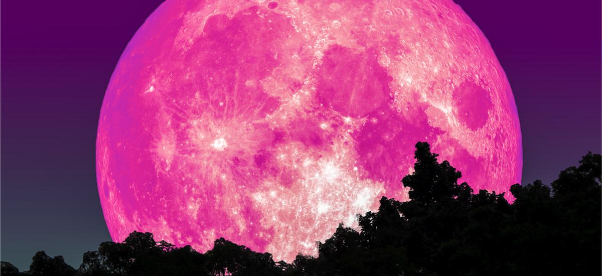 pełnia różowego księżyca kwiecień 2021