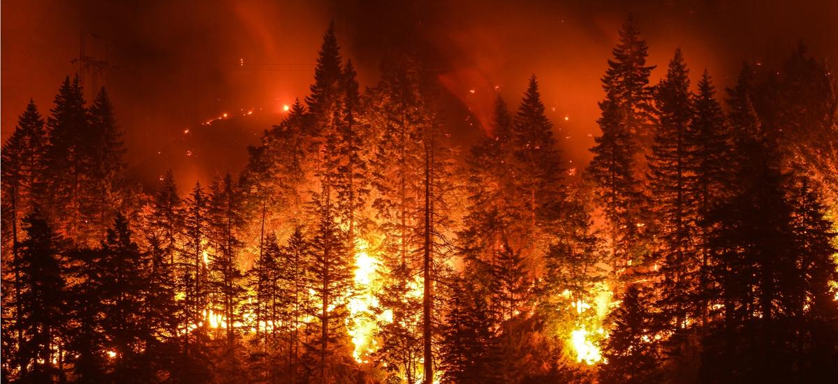 Największy pożar w Polsce. Tysiące strażaków i żołnierzy w akcji