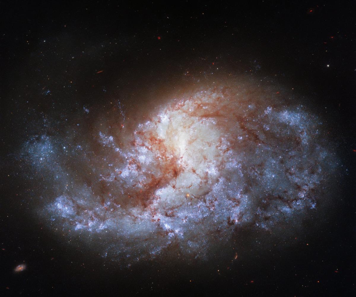 Zdjęcie dnia: galaktyka NGC 1385, czyli gwiezdny piec w Gwiazdozbiorze Pieca