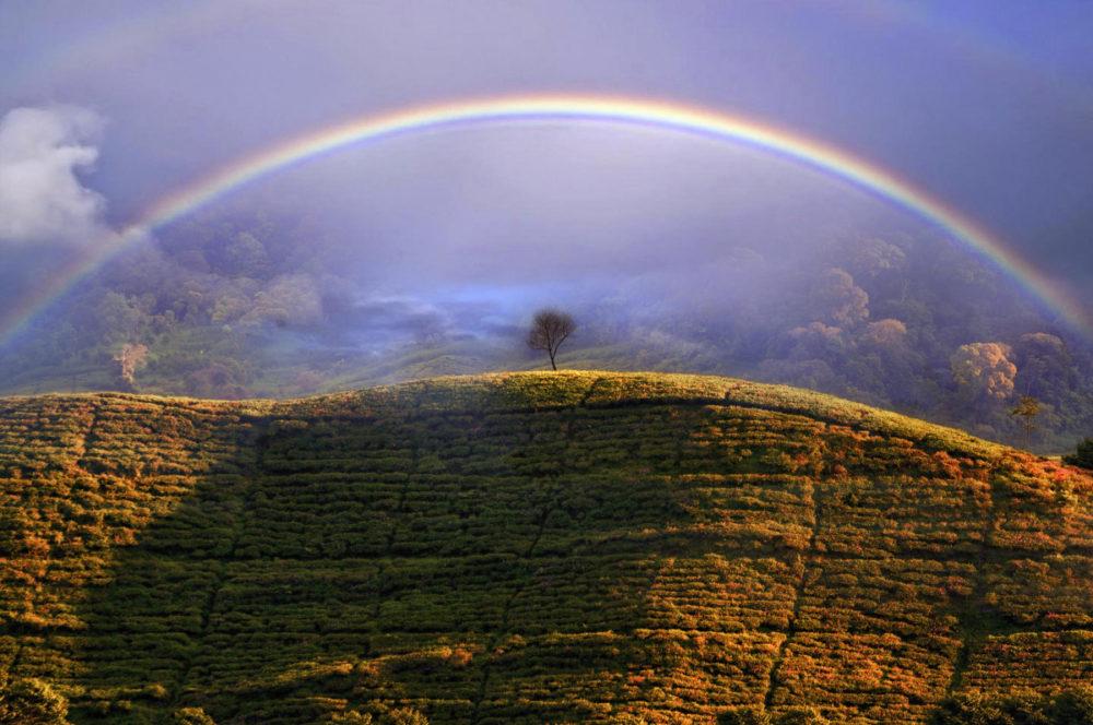 Fot. Dani Agus Purnomo, &quot;Misty Rainbow&quot; class="wp-image-1842385" 
