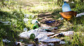Kara za wyrzucanie śmieci do lasu będzie wyższa. Rząd zapowiada nowe przepisy