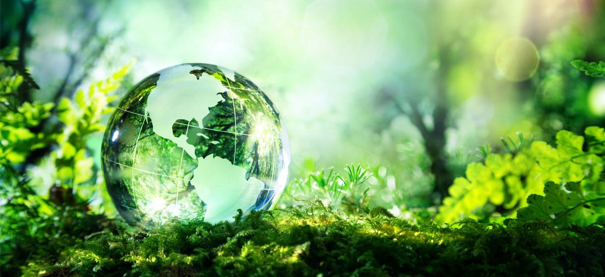 „Zielone centra danych” to priorytet  w celu ochrony środowiska