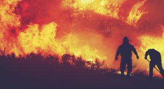 Prosna: pożar lasu. Spłonęło prawie sto hektarów. Jest susza