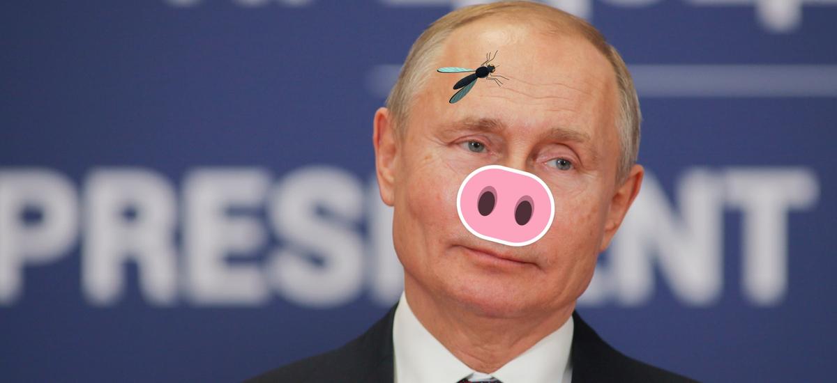Śmierć Putinowi dozwolona na Facebooku i Instagramie