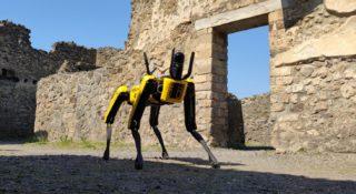 Robo-pies patroluje antyczne ruiny