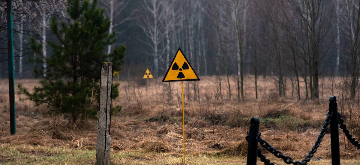 Bakterie miały zjeść radioaktywne odpady wokół Czarnobyla
