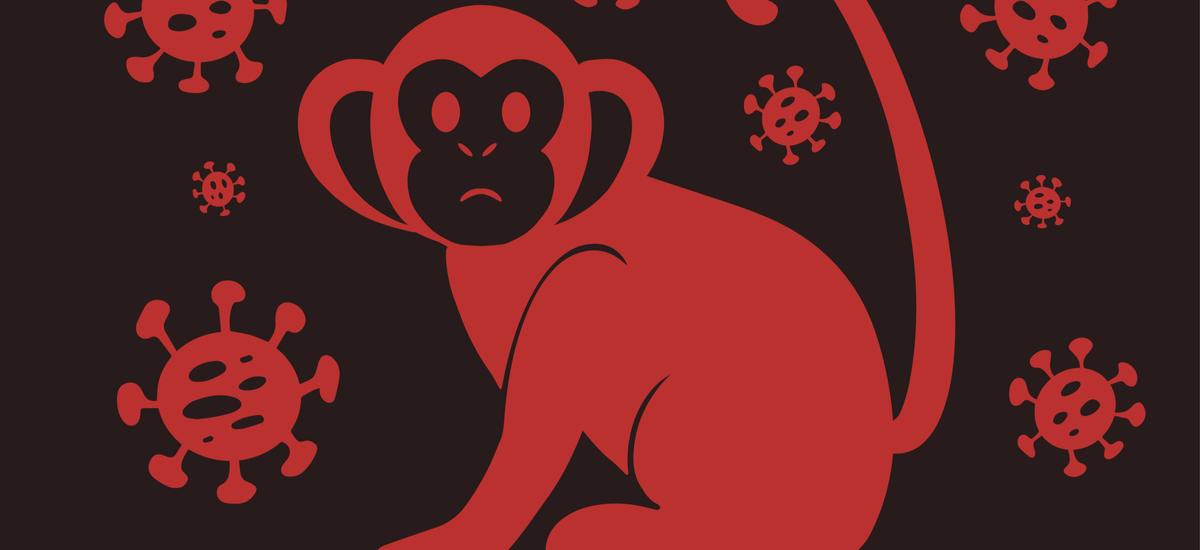 Małpia ospa w Polsce. Chorzy trafiają obowiązkowo do szpitala