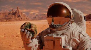 Skały z Marsa nas zabiją? Tak uważa część naukowców