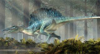 Największy dinozaur w Europie odkryty na Wight. To spinozaur