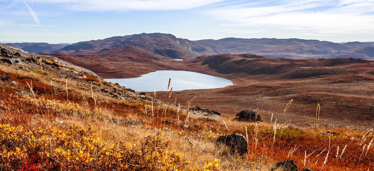 Tundra nie przeżyje zmian klimatu. Za 500 lat będzie już historią
