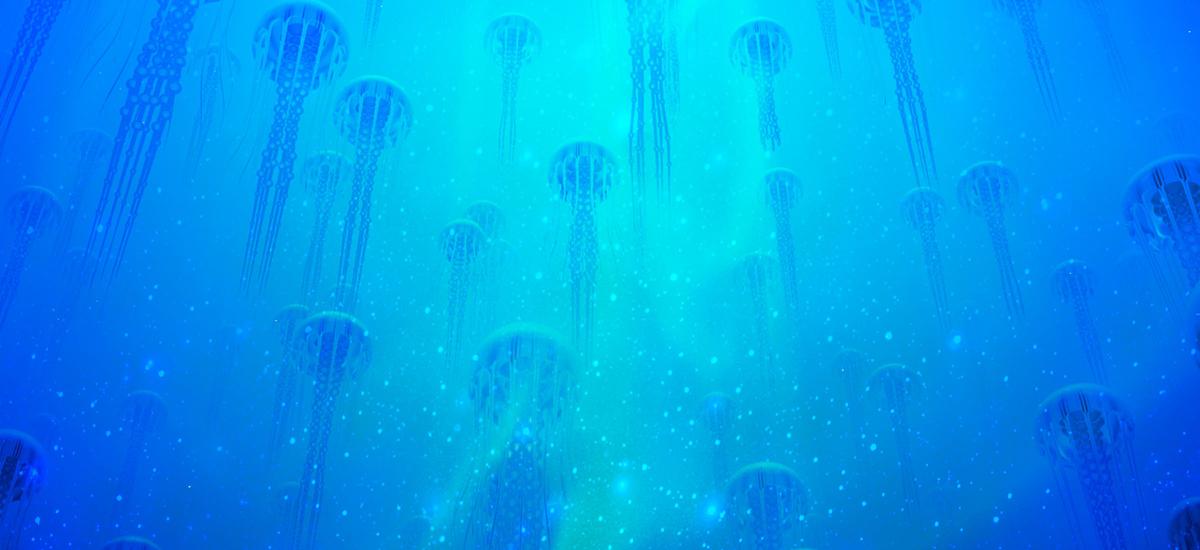 rój meduz globalne ocieplenie