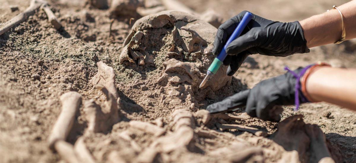 Sztuczna inteligencja może rozwiązać problem archeologów - datowanie