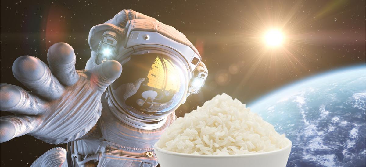 Chińscy astronauci wyhodowali ryż w kosmosie