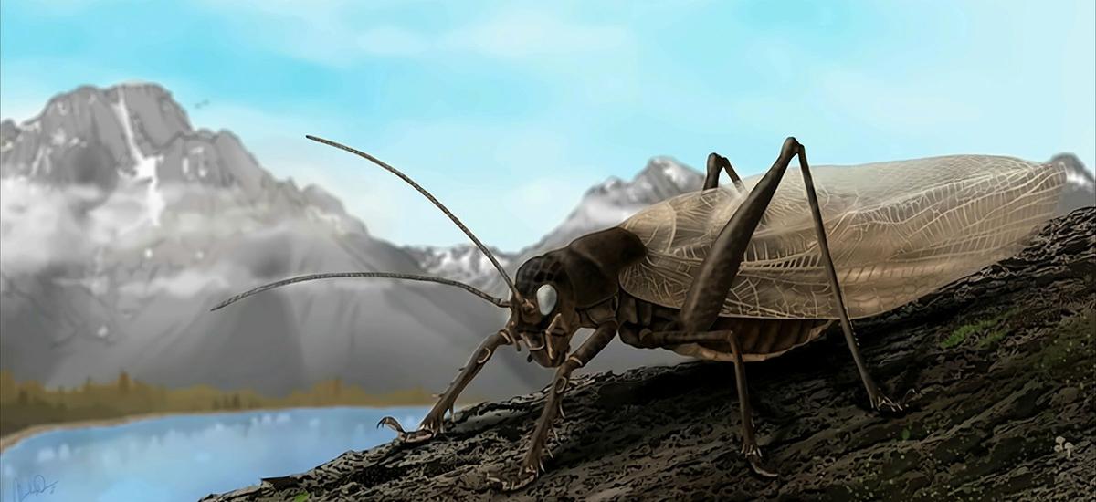 Odtworzyli dźwięki owada, który wymarł 150 lat temu