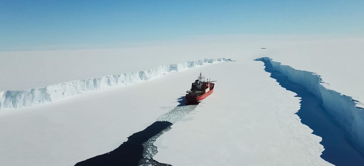 arktyka lod morski