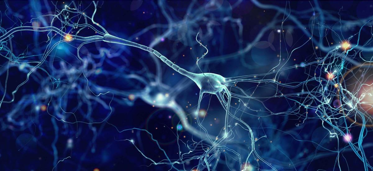 Sztucznie wyhodowane neurony nauczyły się gry w Ponga. W 5 minut