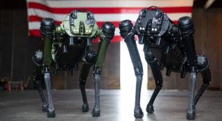 Psy-roboty służą już w wojsku. Patrolują przylądek Canaveral i pilnowały lotnisk
