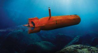 Najbardziej wyrafinowana technologia. Polska kupiła drony udające okręty podwodne