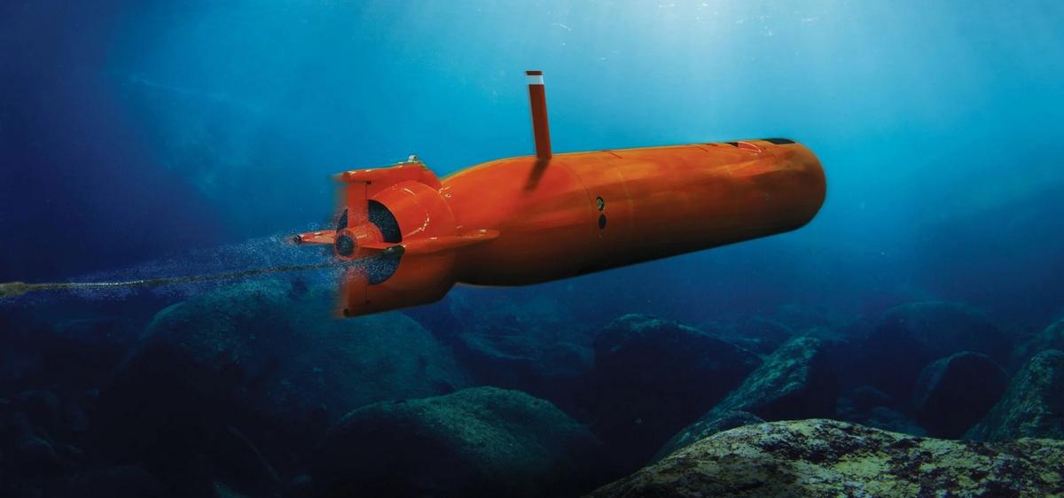Najbardziej wyrafinowana technologia. Polska kupiła drony udające okręty podwodne