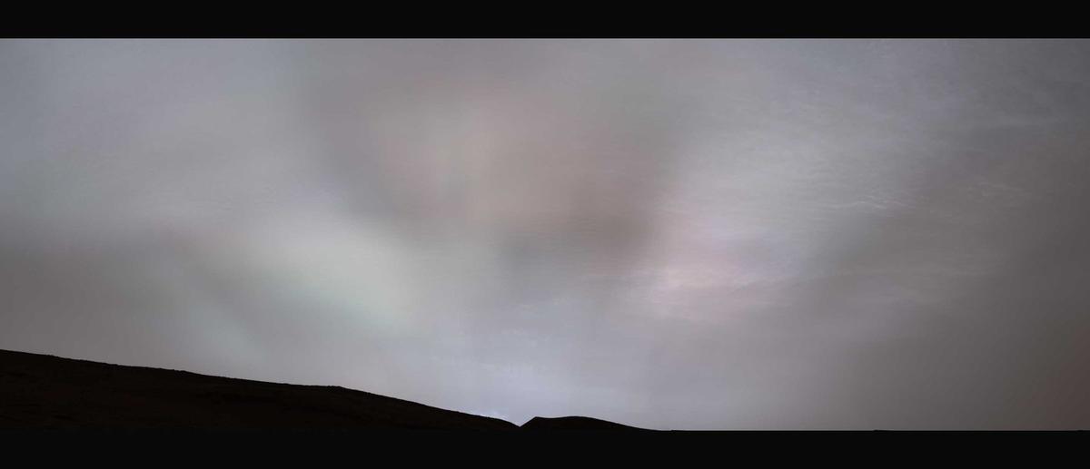 Łazik Curiosity sfotografował śreżogę na Marsie. Sienkiewicz byłby zachwycony
