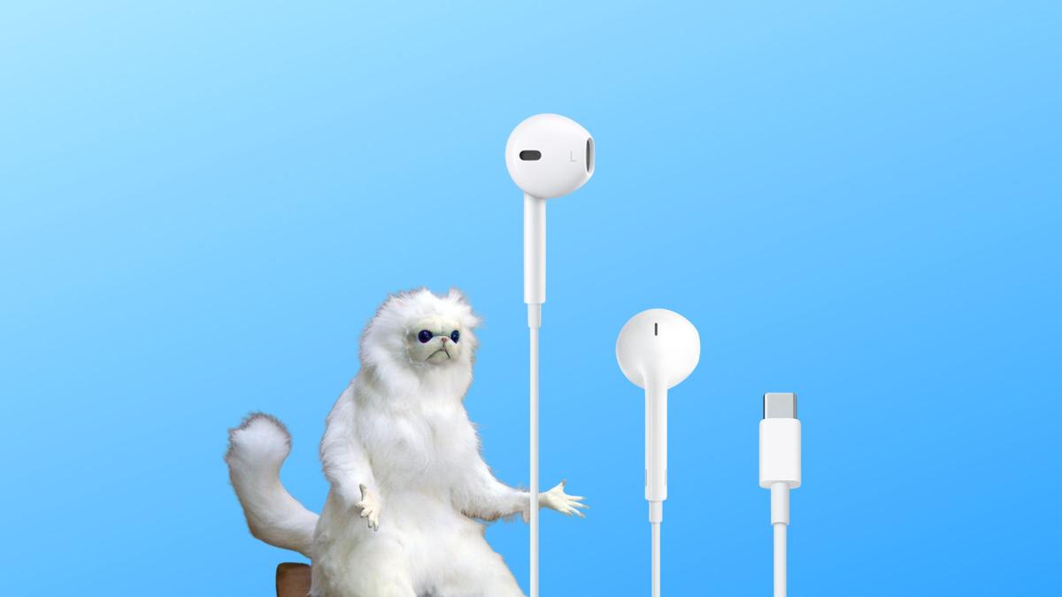 Apple wypuści nowe słuchawki na kablu. Halo, Cupertino, który mamy rok?