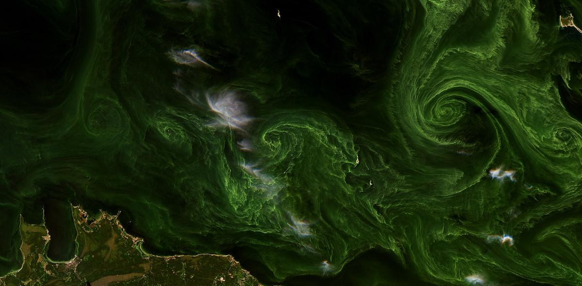 Bałtyk z zielonymi wirami. Niezwykłe zdjęcie zrobione z kosmosu