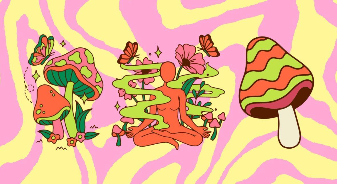 Psychodeliki: ayahuasca, grzyby psylocybinowe, LSD, meskalina