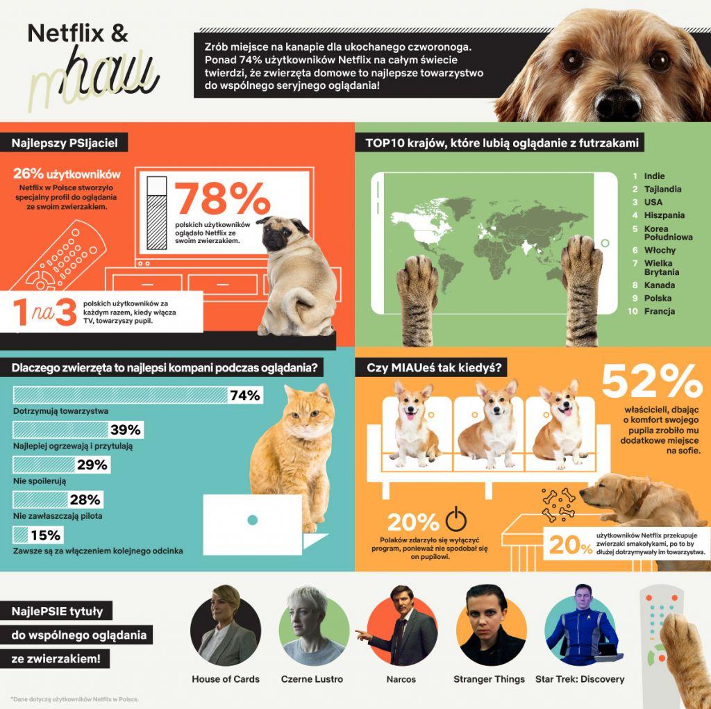 netflix psy i koty infografika 