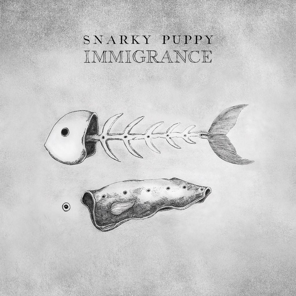 snarky puppy immigrance class="wp-image-264165" 