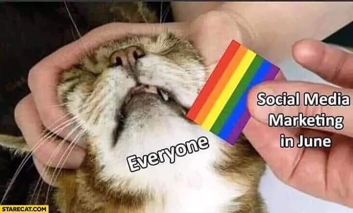 pride month memy 
